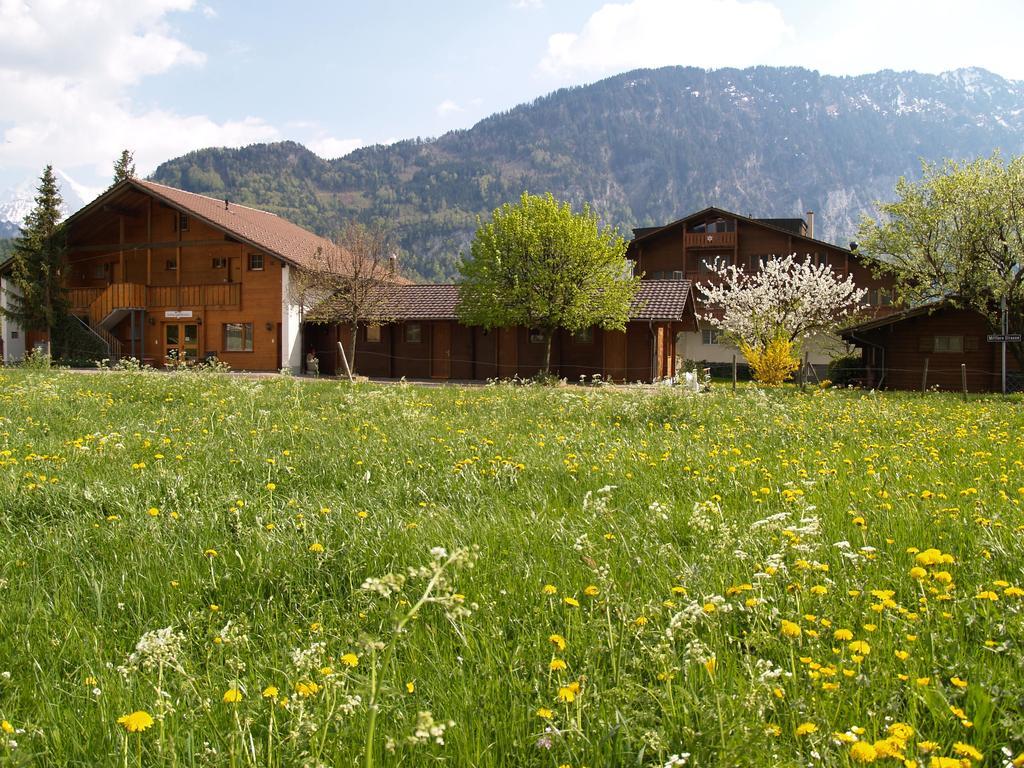 Salzano Basic Rooms Interlaken Cameră foto